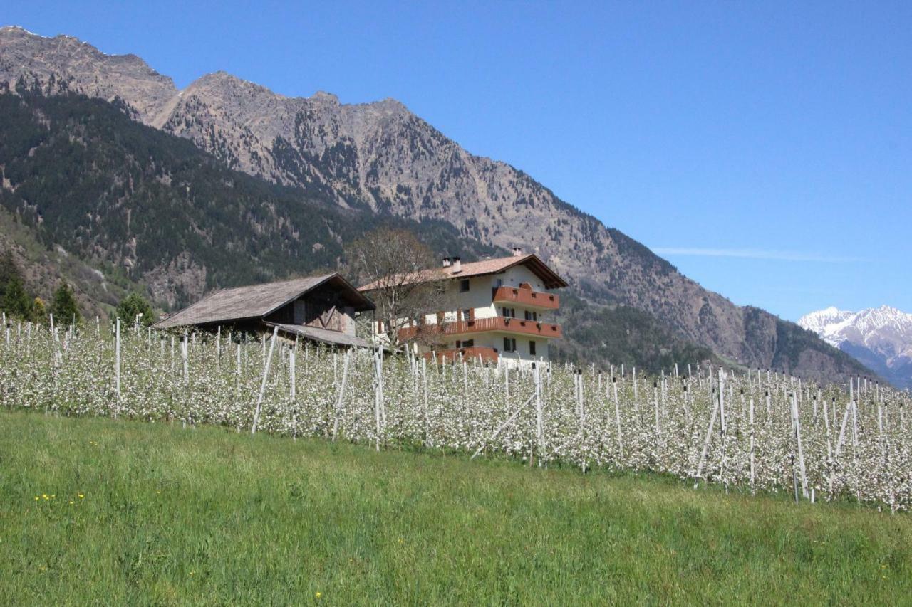 Mareinhof - Urlaub Auf Dem Apfelbauernhof Appartement Partschins Buitenkant foto